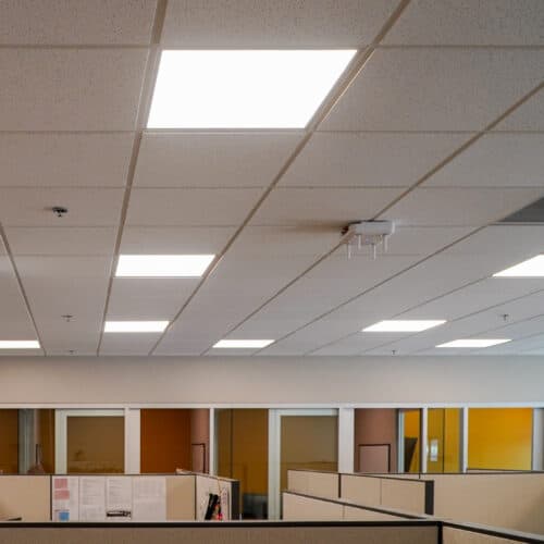 A cubicle in an office with fluorescent lights.